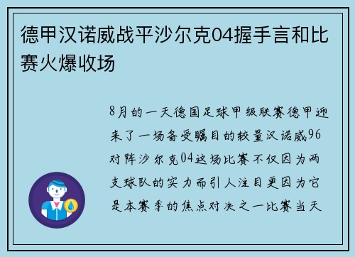 德甲汉诺威战平沙尔克04握手言和比赛火爆收场