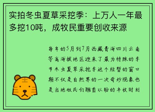 实拍冬虫夏草采挖季：上万人一年最多挖10吨，成牧民重要创收来源