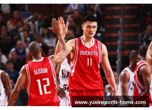 亚新体育官方网站NBA明星艾琳的光辉历程与个人成就盘点 - 副本
